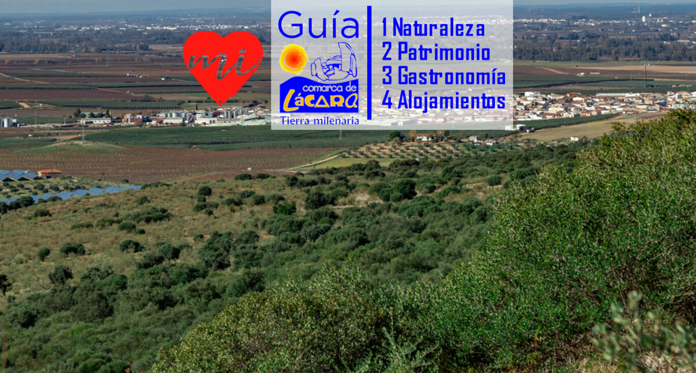 Gua Completa de la Comarca de Lcara