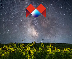 Vino estrellas y corazn Bodegas Caalva