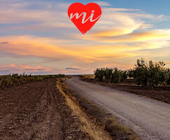 Gua de la Comarca de Sierra Grande  Tierra de Barros