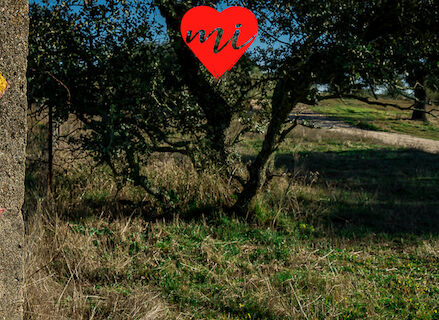 20 Propsitos para un ao en Extremadura