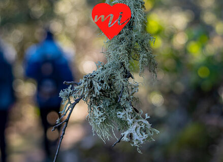 Hornachos me sobran los motivos