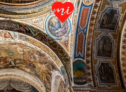 Los olmos templarios