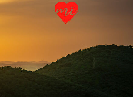 La felicidad de la tierra