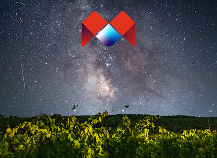 Vino estrellas y corazn Bodegas Caalva