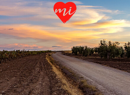 Gua de la Comarca de Sierra Grande  Tierra de Barros