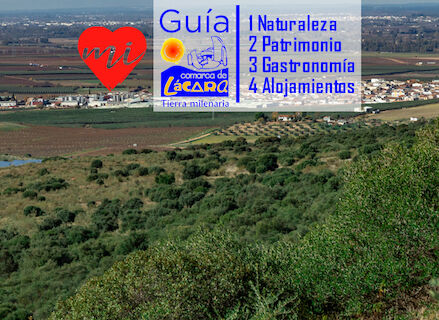 Gua Completa de la Comarca de Lcara