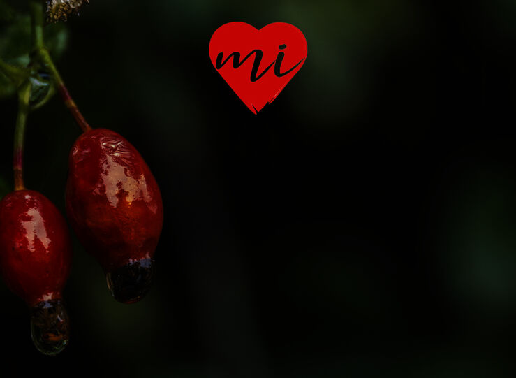Extremadura se viste de Otoo