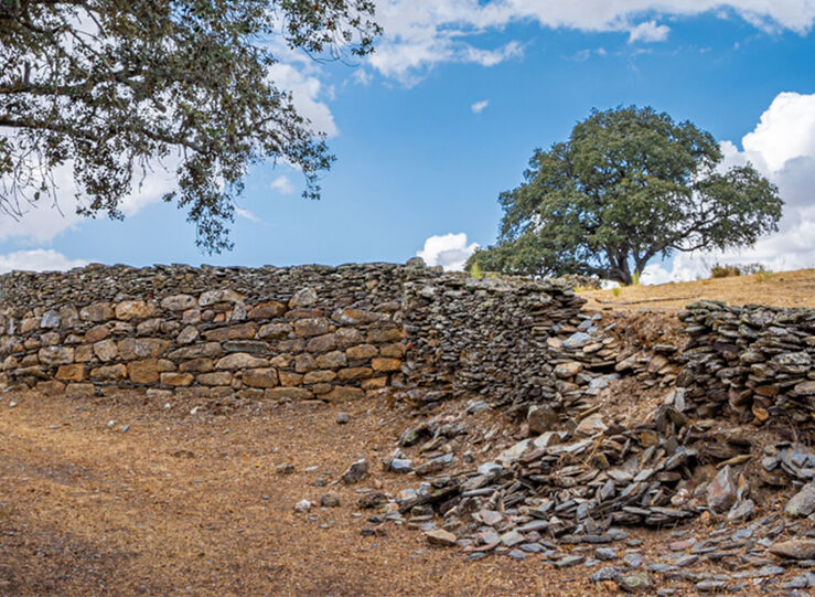 TAMUSIA
