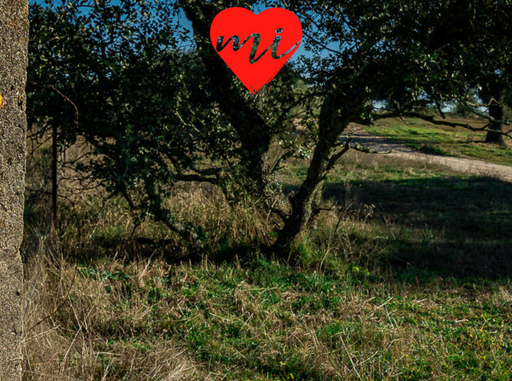 20 Propsitos para un ao en Extremadura