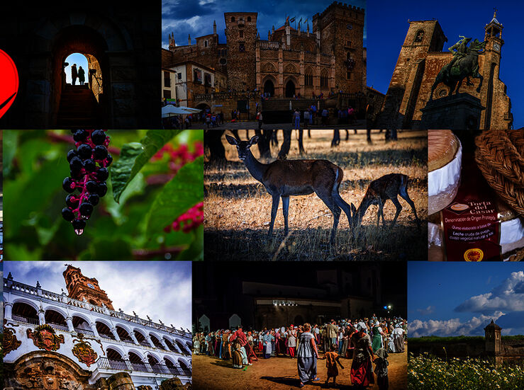 MiExtremadura un ao en imgenes