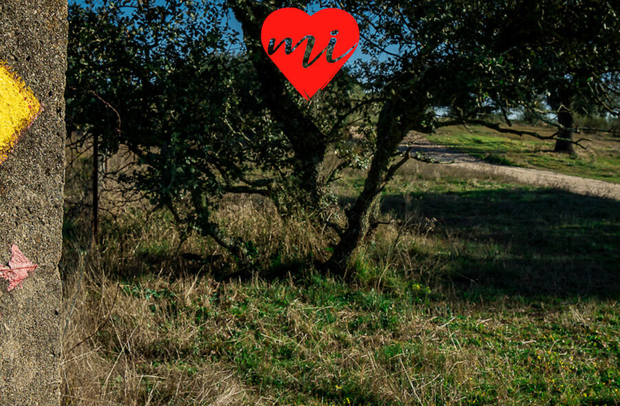 Las buenas intenciones