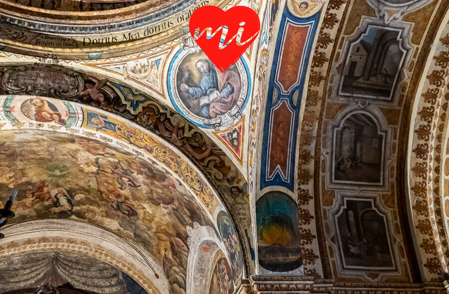 Los olmos templarios