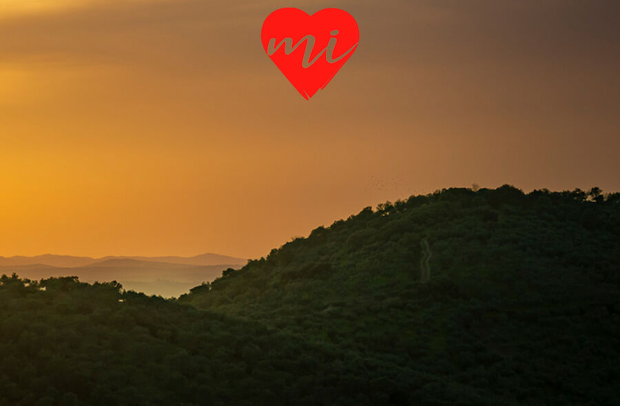 La felicidad de la tierra