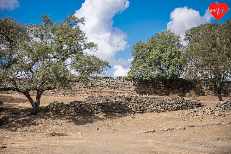 Tamusia