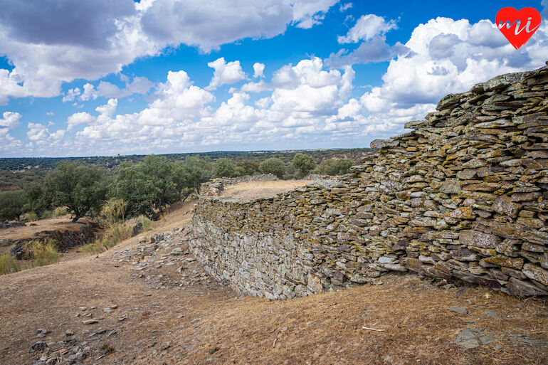 Tamusia
