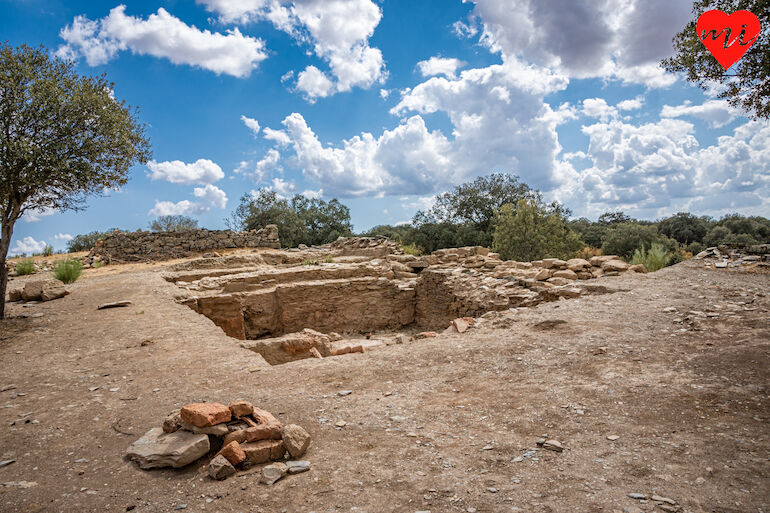 Tamusia