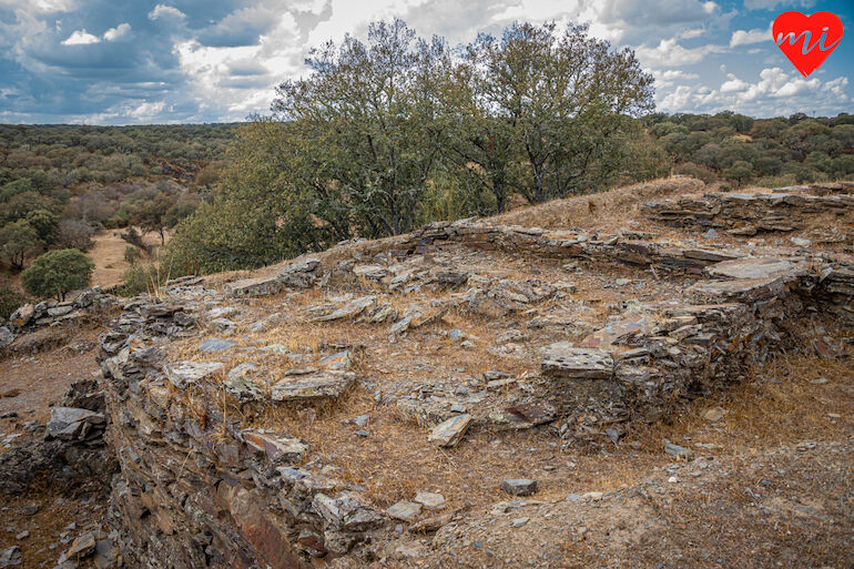 Tamusia