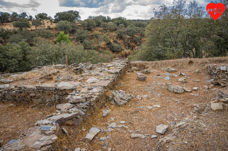 Tamusia