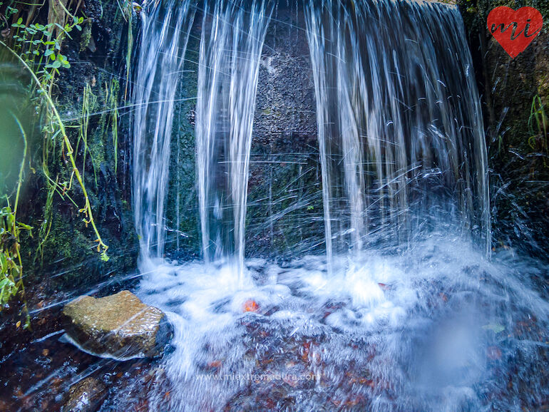 agua