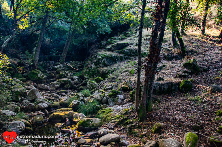 otoño-puerto-honduras