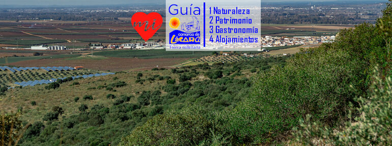 Gua Completa de la Comarca de Lcara