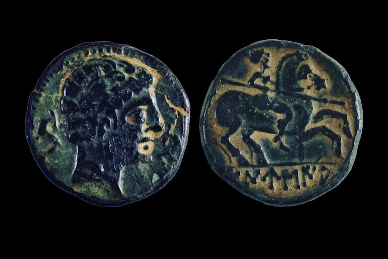 tamusia