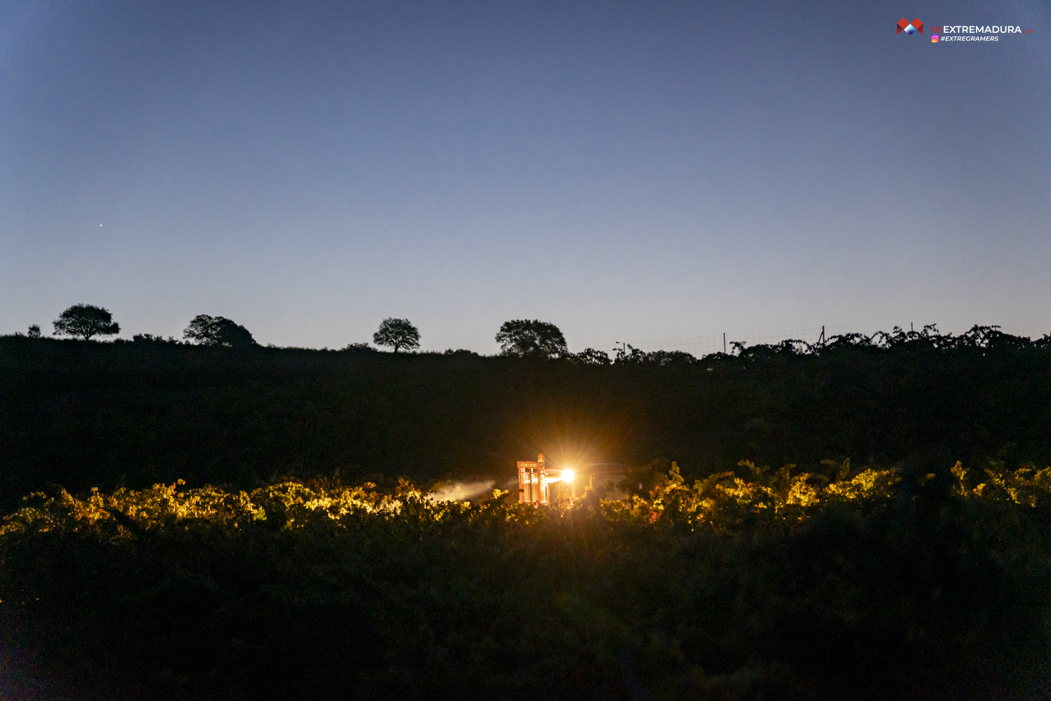 bodegas canalva