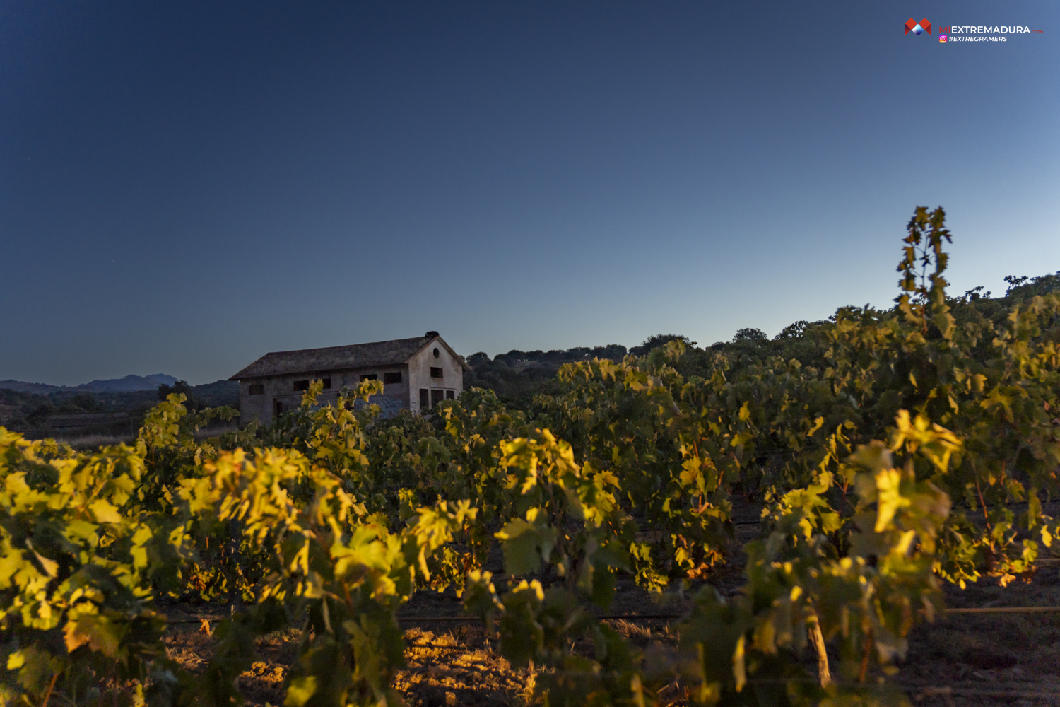 bodegas canalva