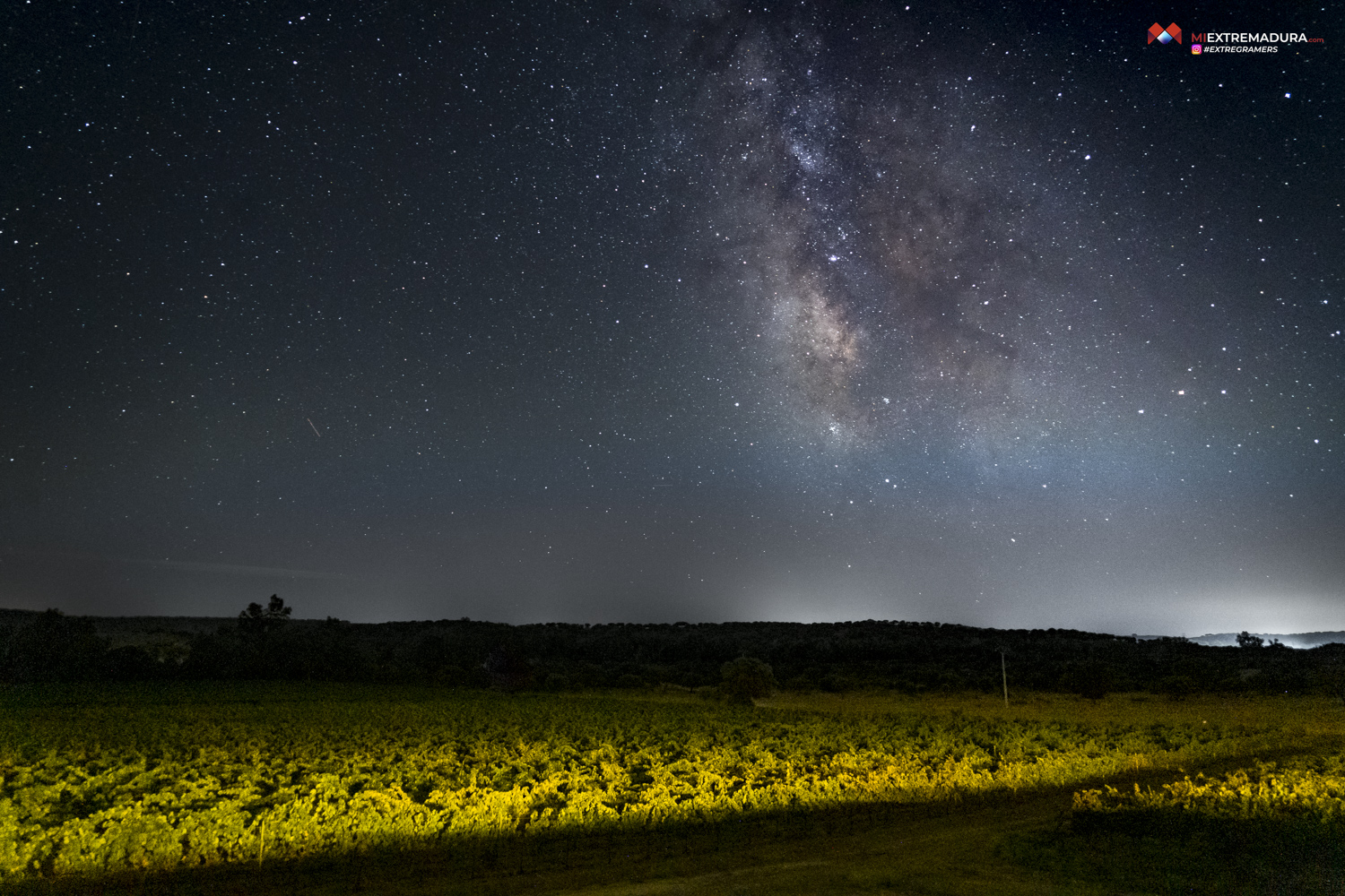 bodegas canalva