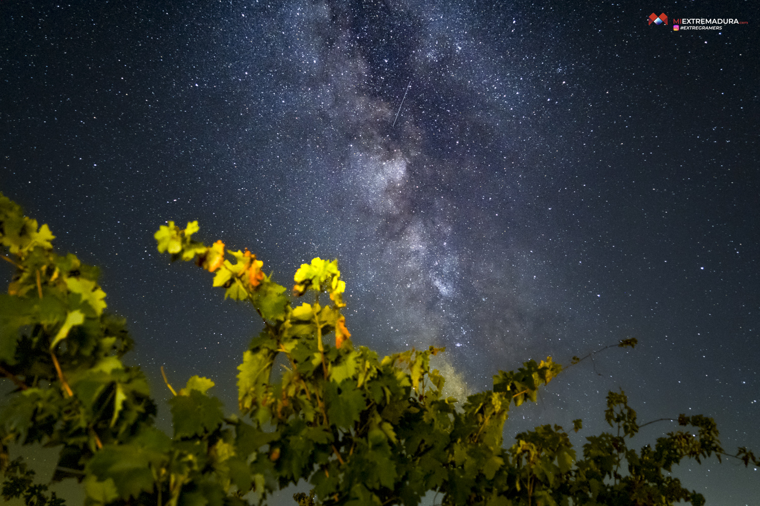 bodegas canalva