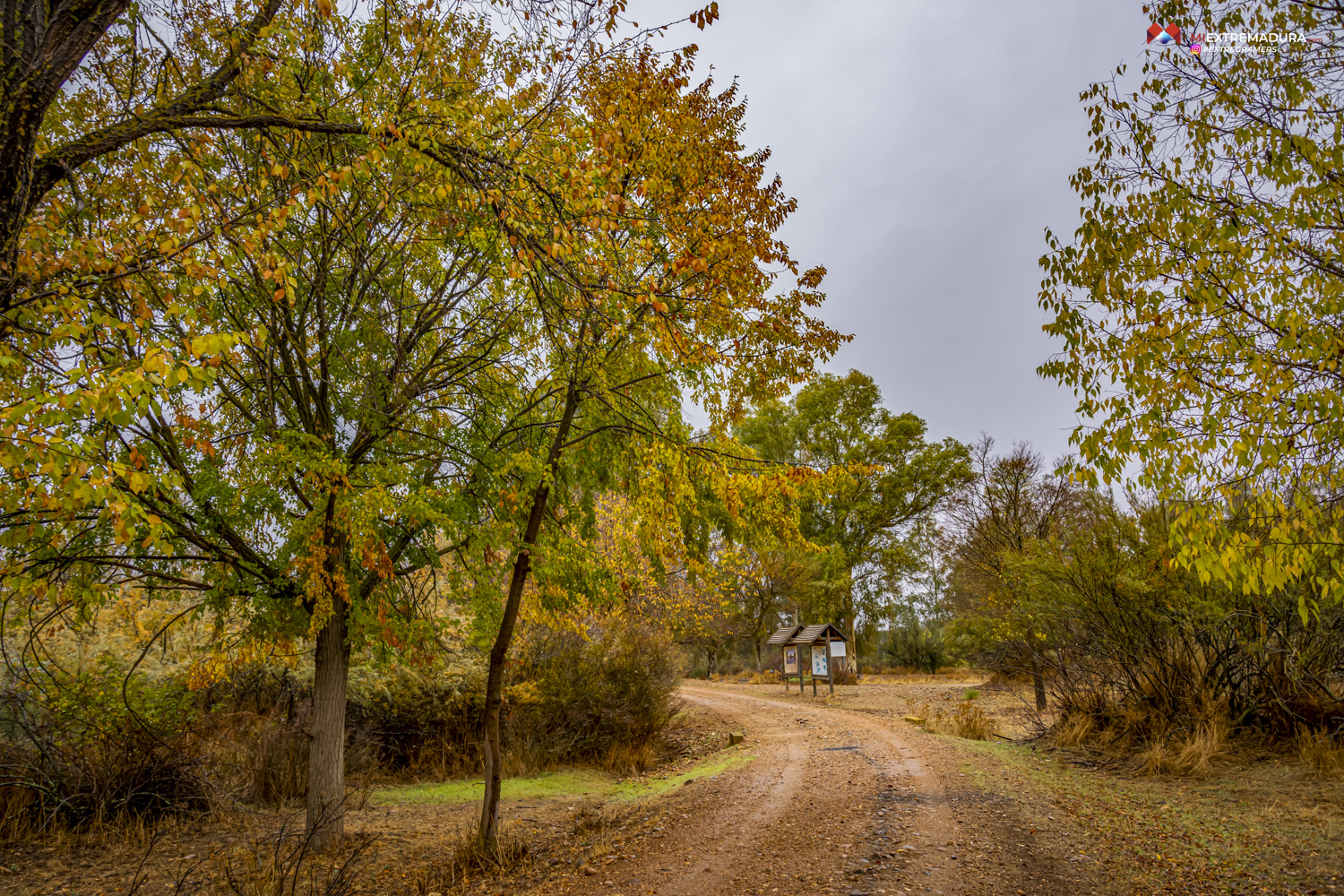 OTOÑO'24