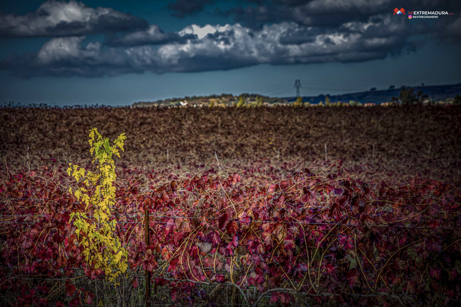 OTOÑO'24