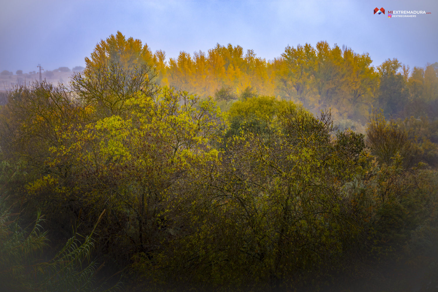 OTOÑO'24