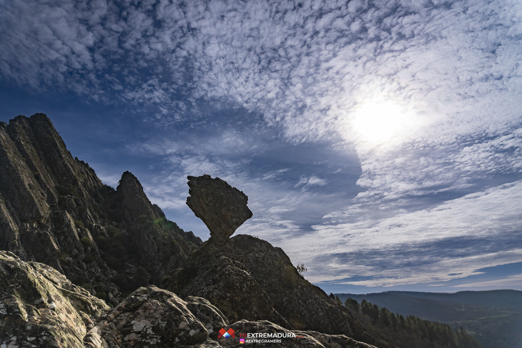 apreturas-del-almonte