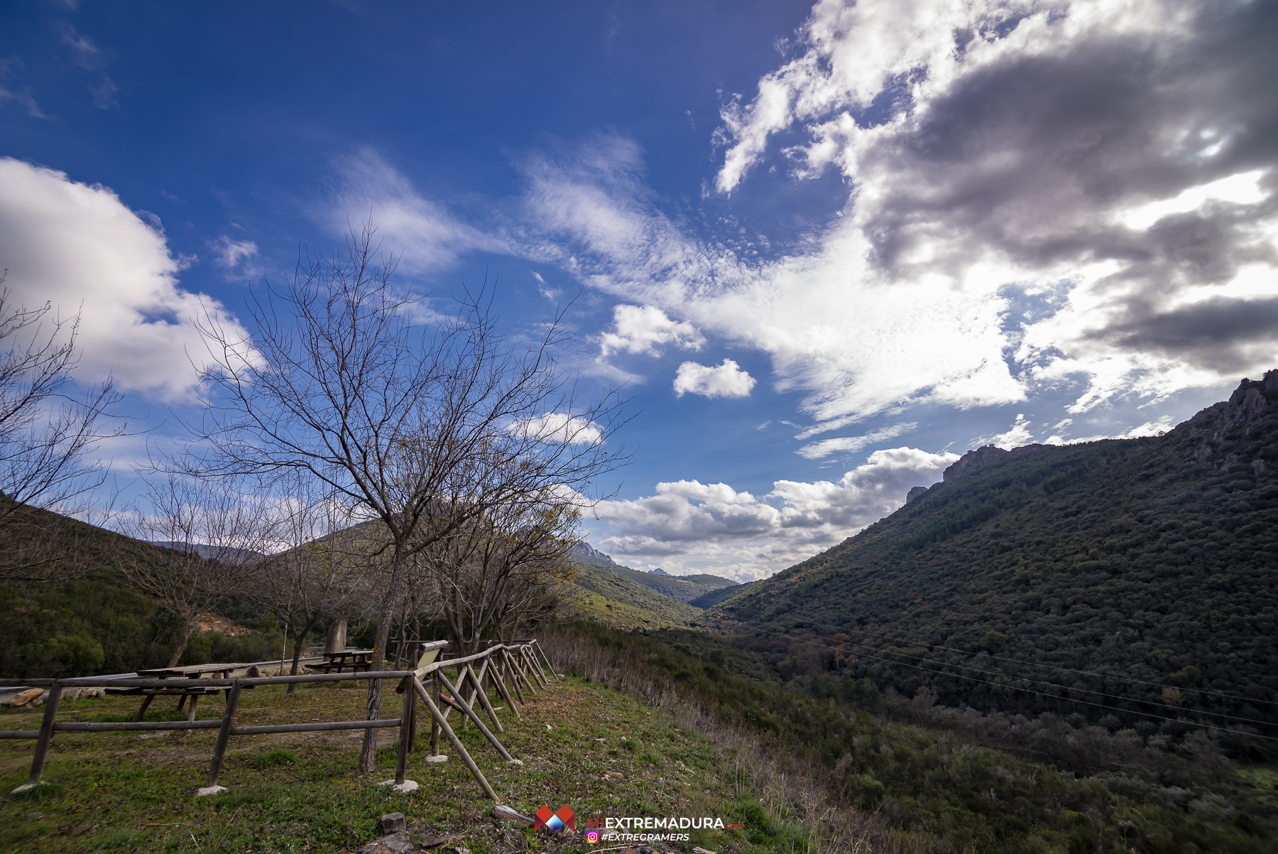 apreturas-del-almonte