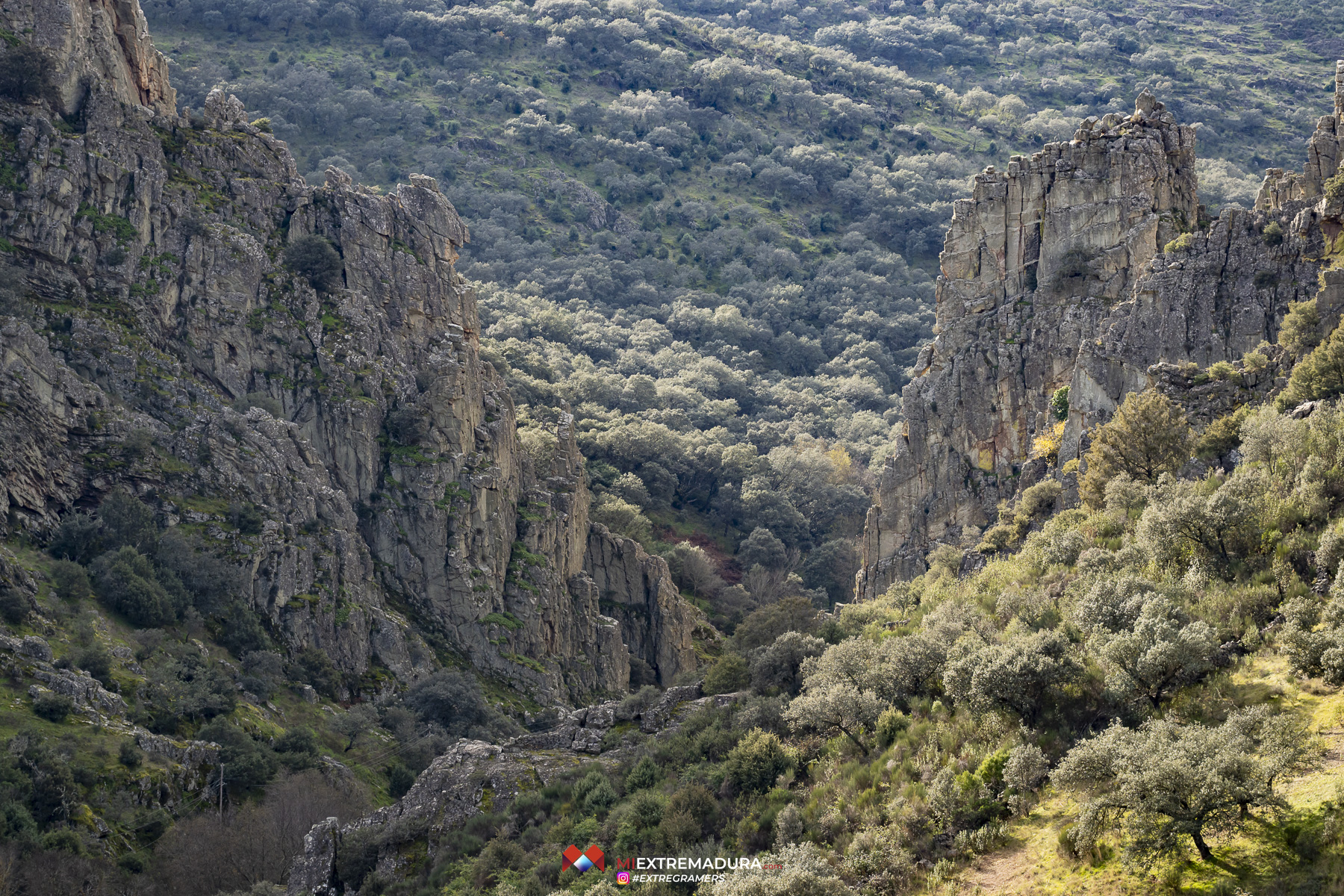 apreturas-del-almonte