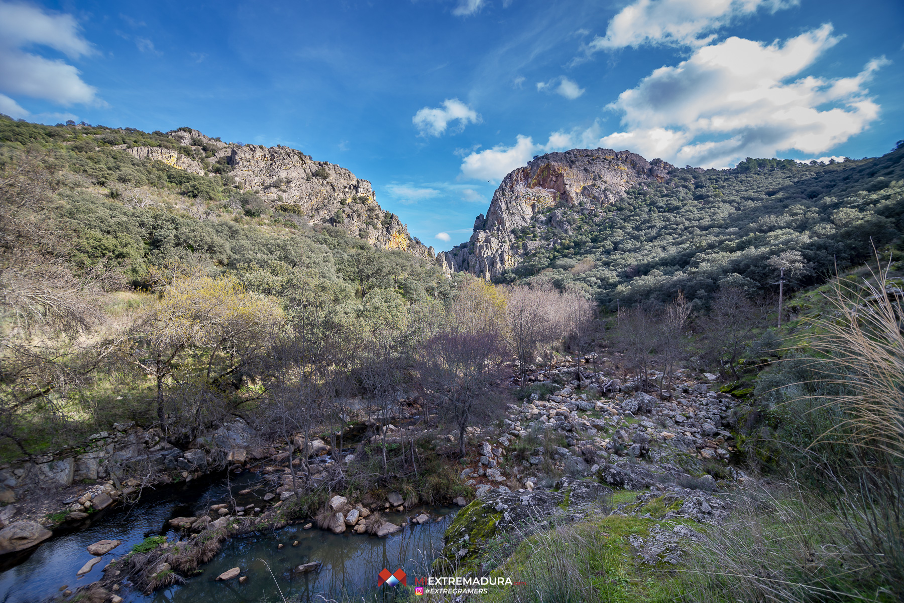 apreturas-del-almonte