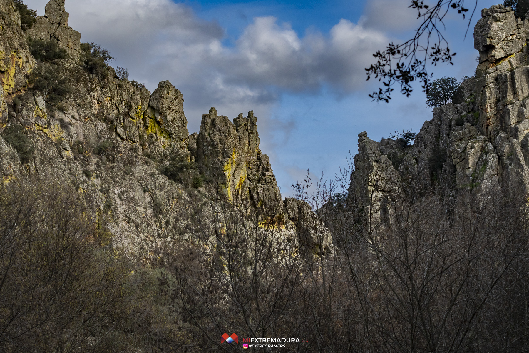 apreturas-del-almonte