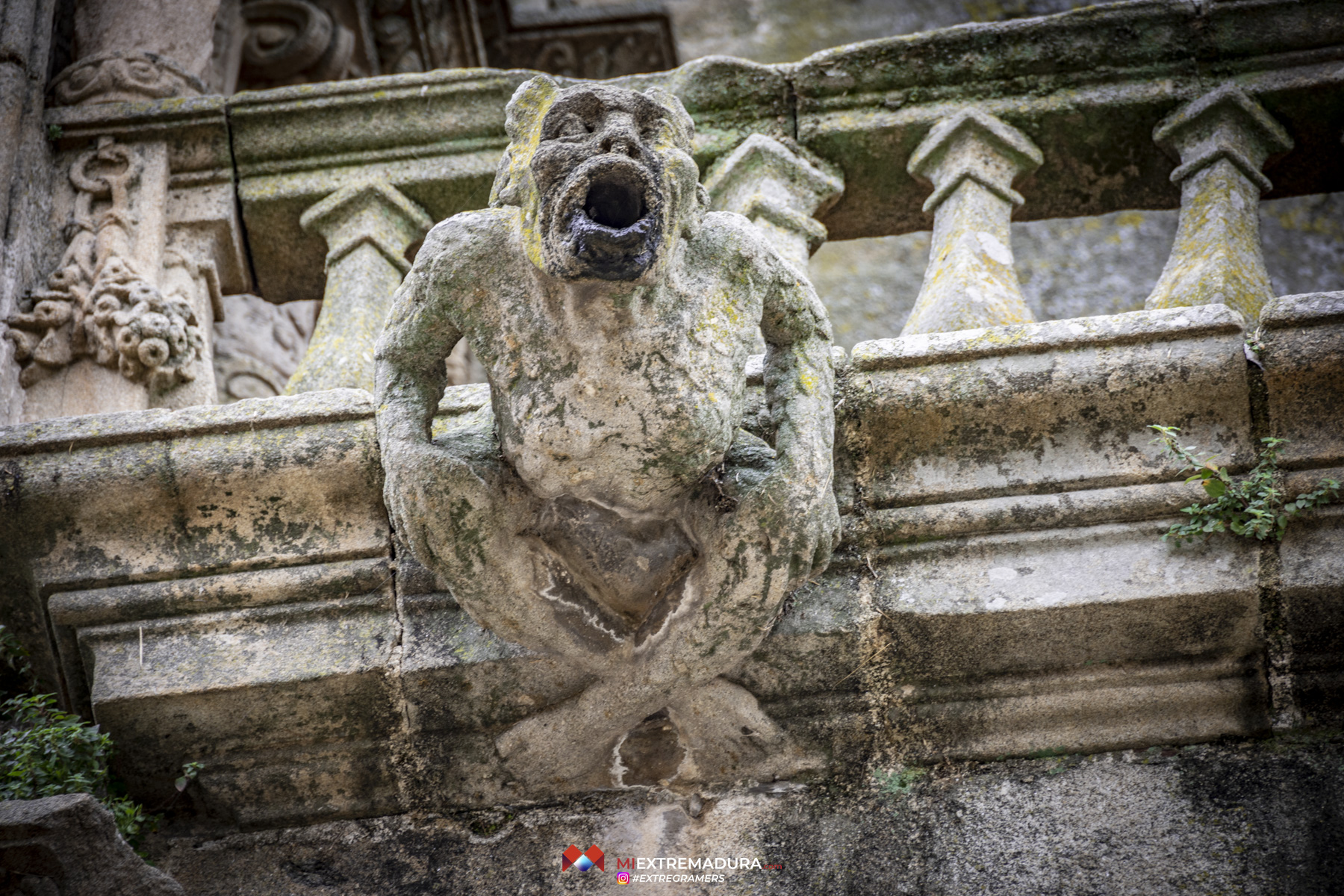 catedral-de-plasencia