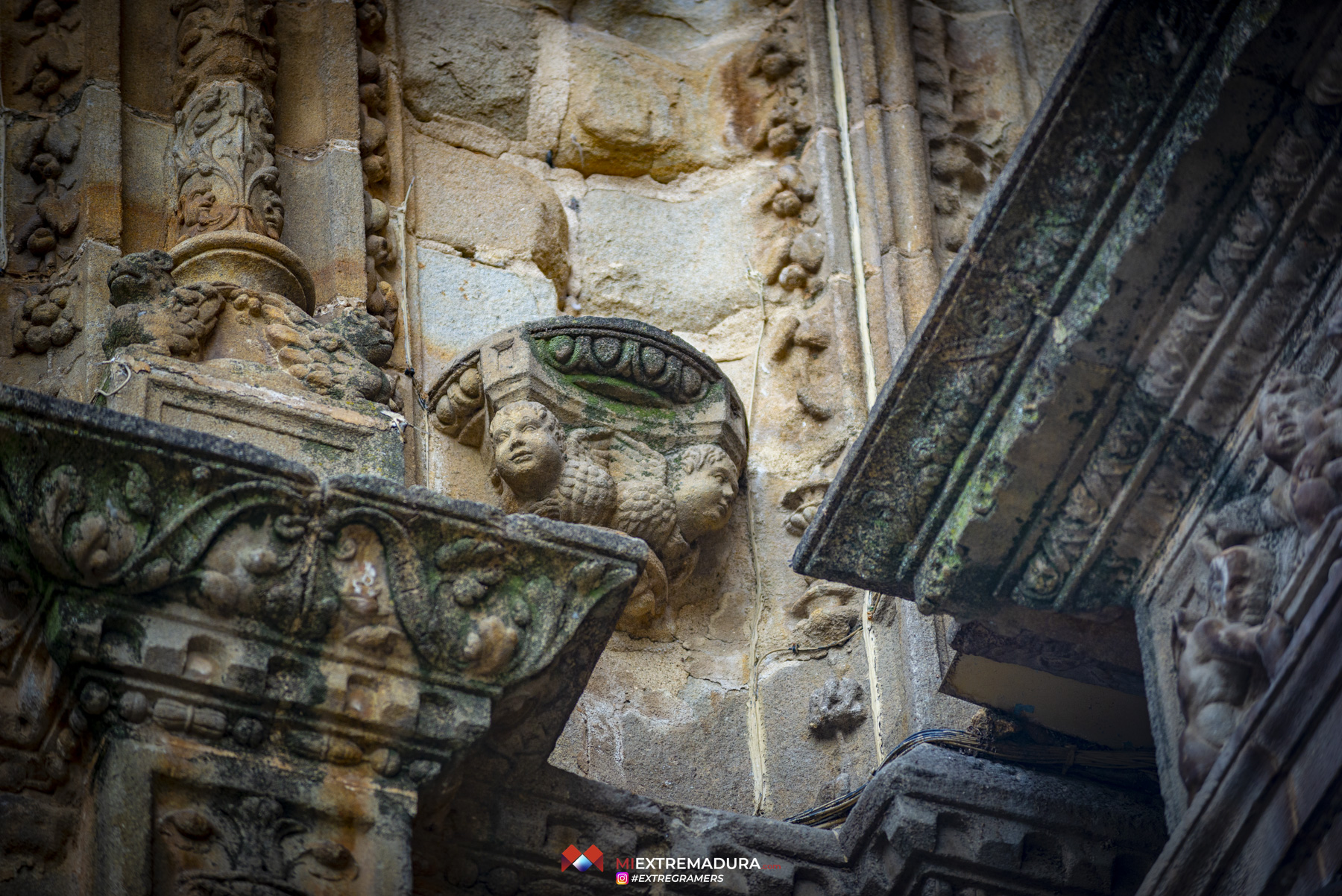 catedral-de-plasencia