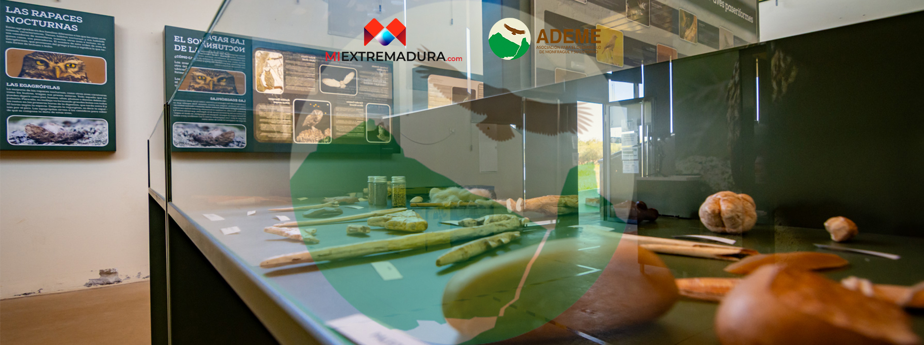 ademe