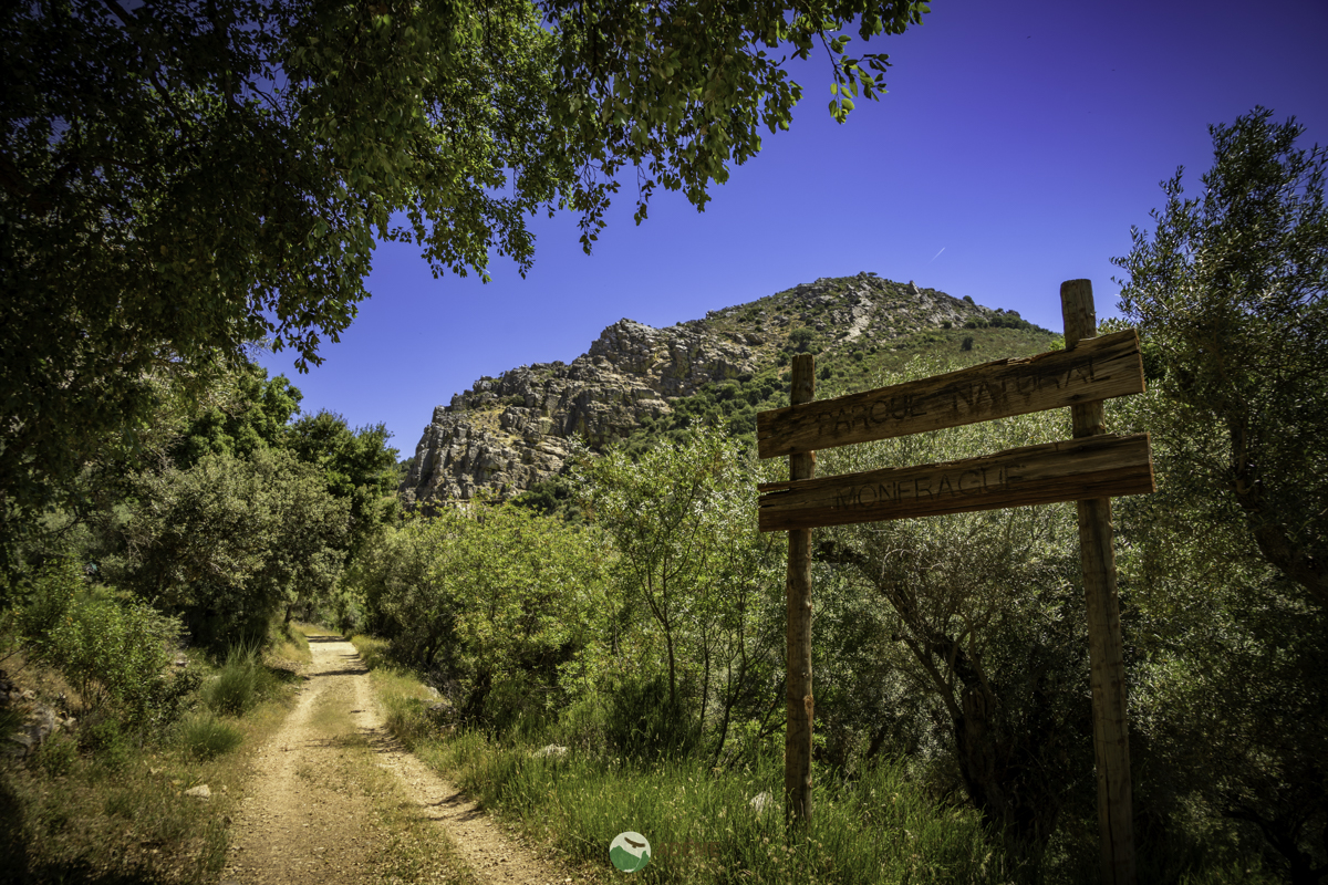 cuatro fuentes y una cascada