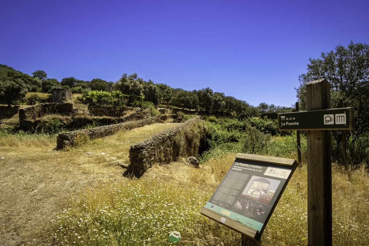 cuatro fuentes y una cascada