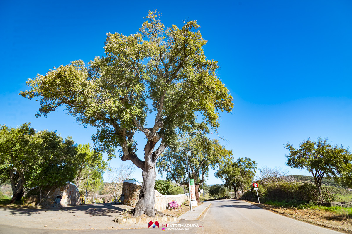 valle de santa ana