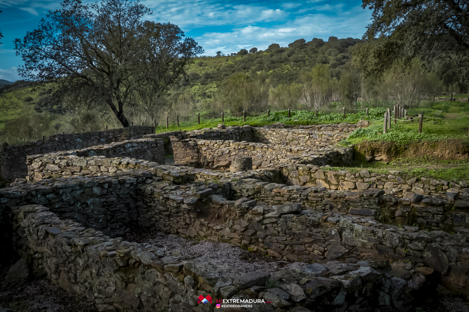 higuera la real